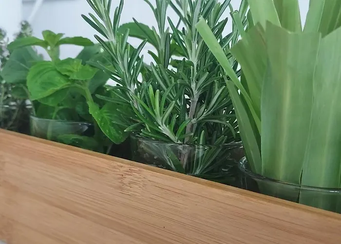 아파트 Ti Maria White House