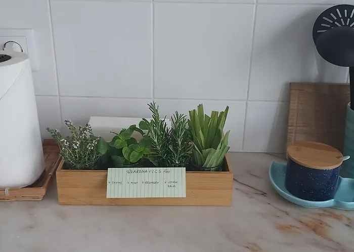 Ti Maria White House 아파트 Ponta Delgada