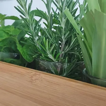 דירה Ti Maria White House