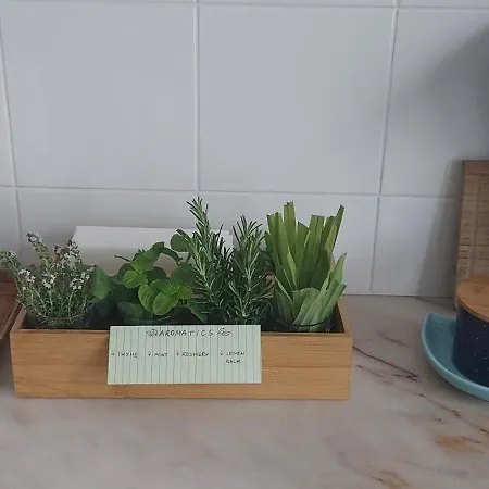 Ti Maria White House Apartment Ponta Delgada